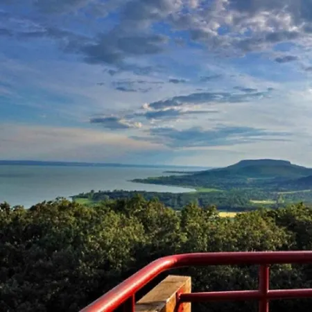 Dom wakacyjny In - Balaton 36498 *