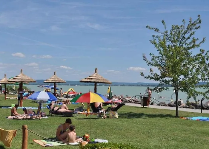 In - Balaton 36498