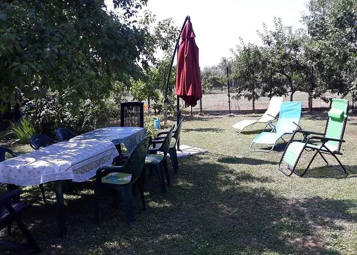 In - Balaton 36498 *