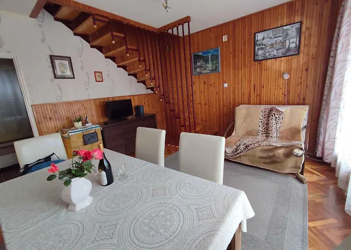 In - Balaton 36498 Révfülöp